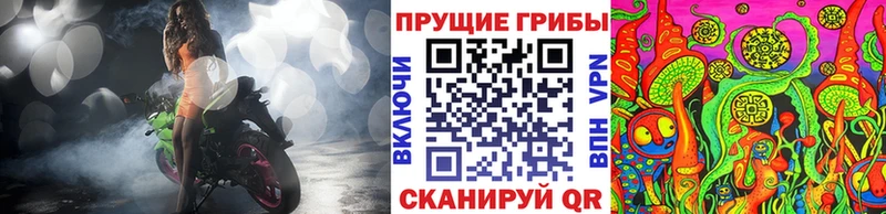 купить   Ворсма  Псилоцибиновые грибы GOLDEN TEACHER 